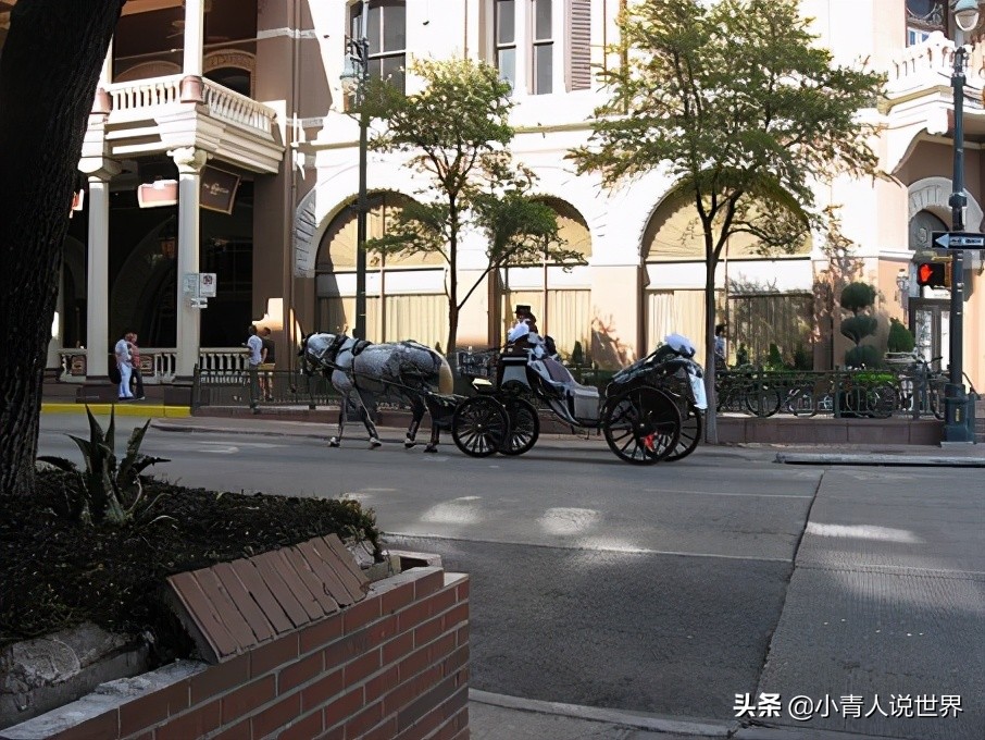 奥斯汀是美国哪个州,奥斯汀是哪里的