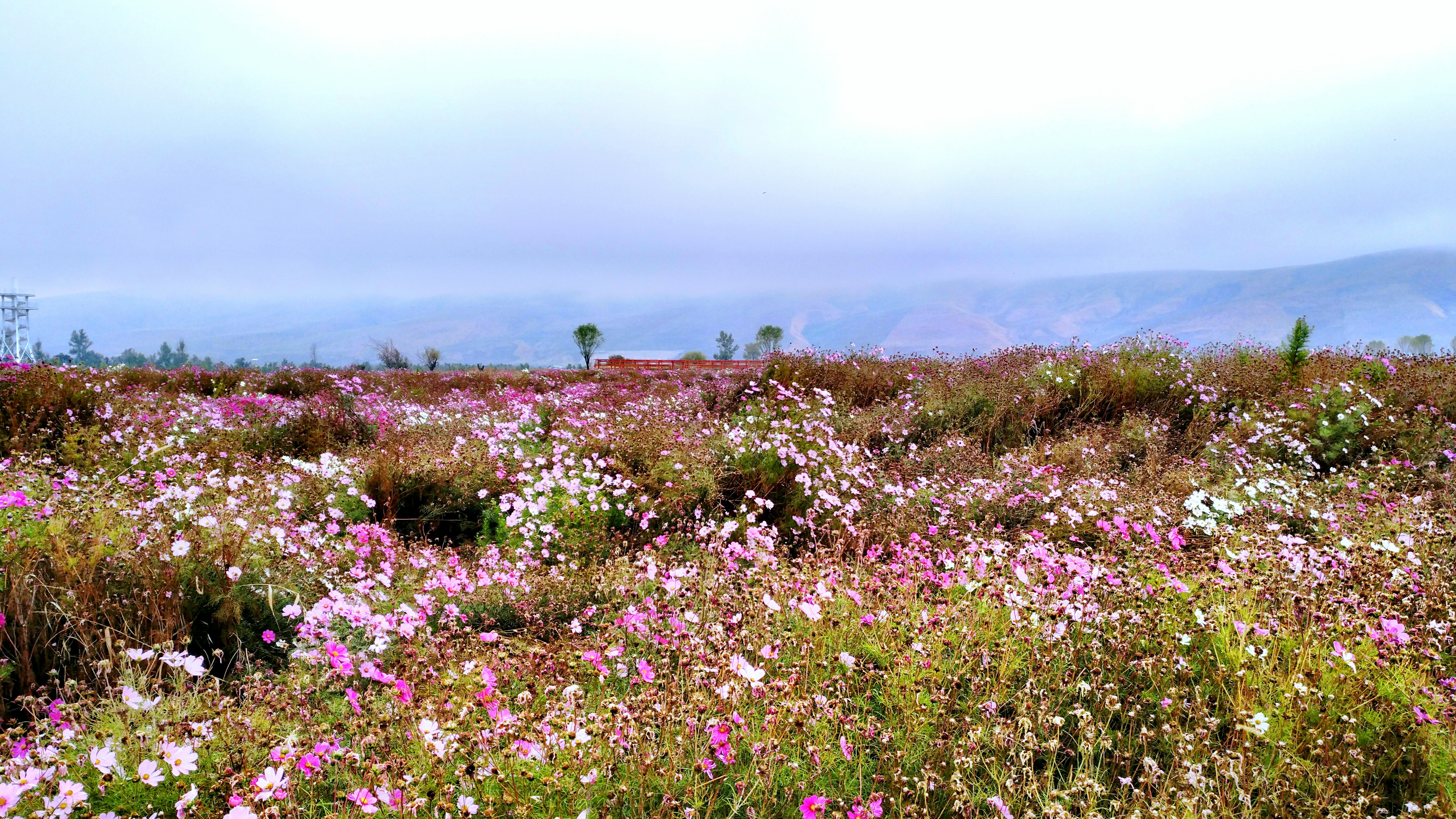 新疆喀什游玩与饮食,新疆喀什旅游去哪买特产