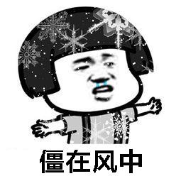 防寒保暖寒冬必备神器,抗寒神器零下40度