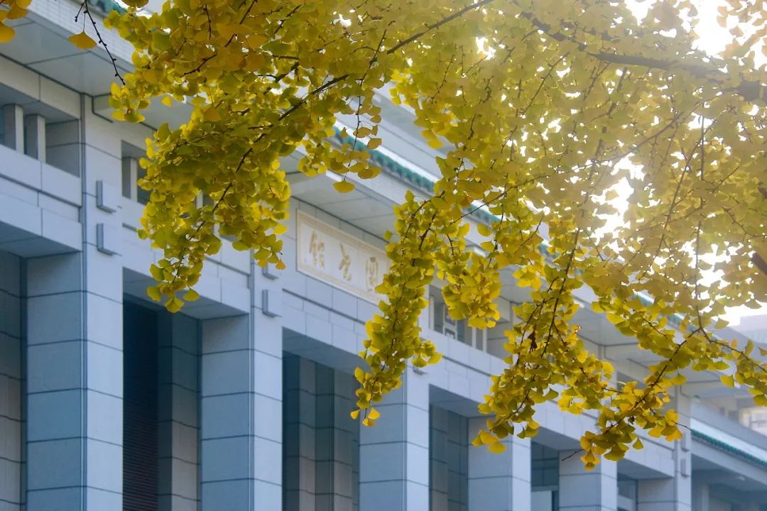 中国最美的大学武汉大学,最美的武汉大学