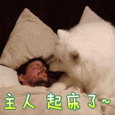 吃早餐真的会让人变胖嘛,bbc科学实验