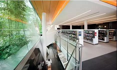 徜徉书籍海洋享受读书乐趣,徜徉在书海里面