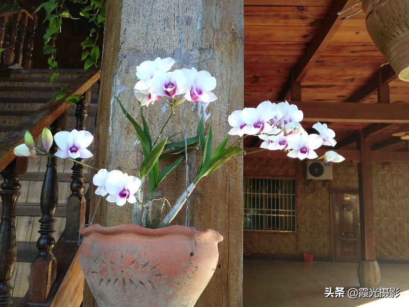 云南西双版纳的傣族园,西双版纳傣族园旅游景区