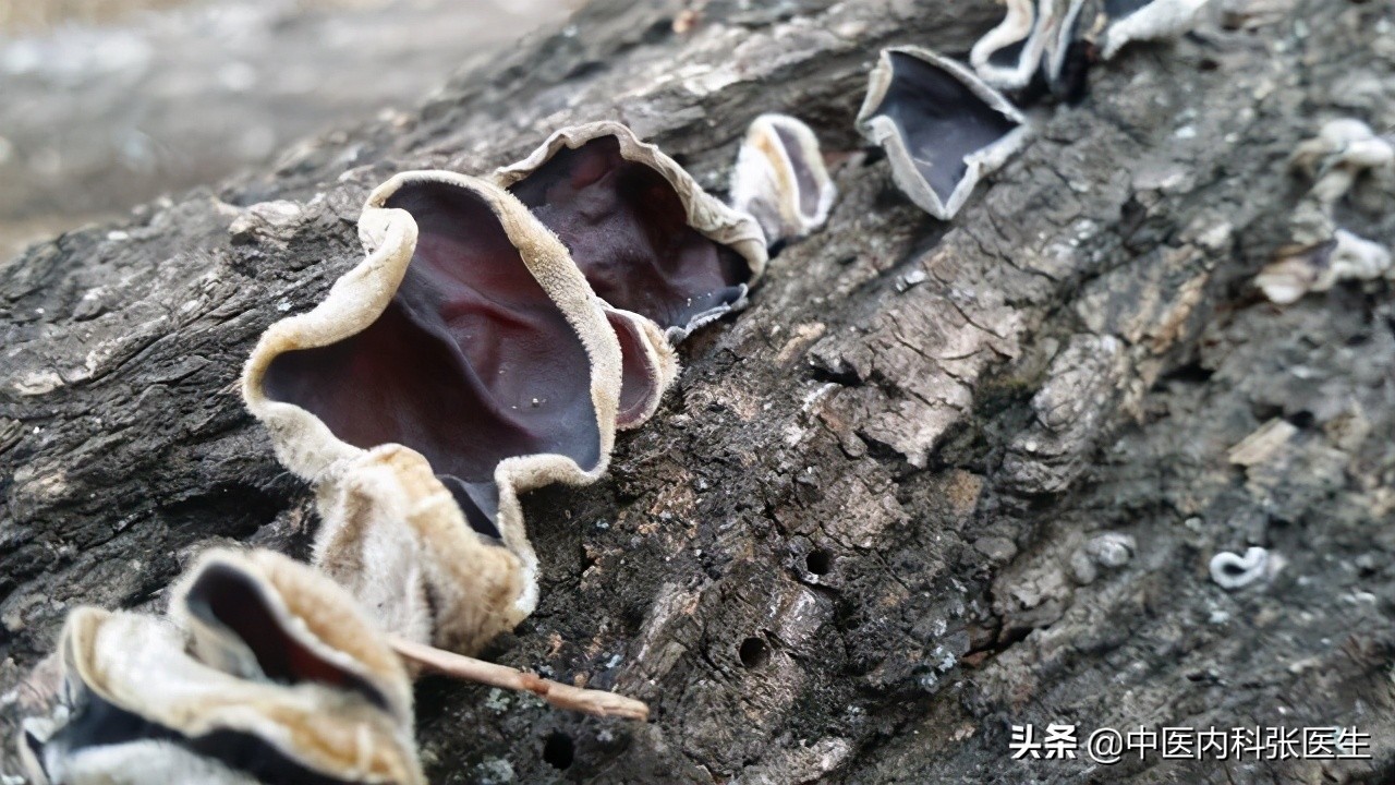 结节的真实案例,发现结节不以为意分享经验教训