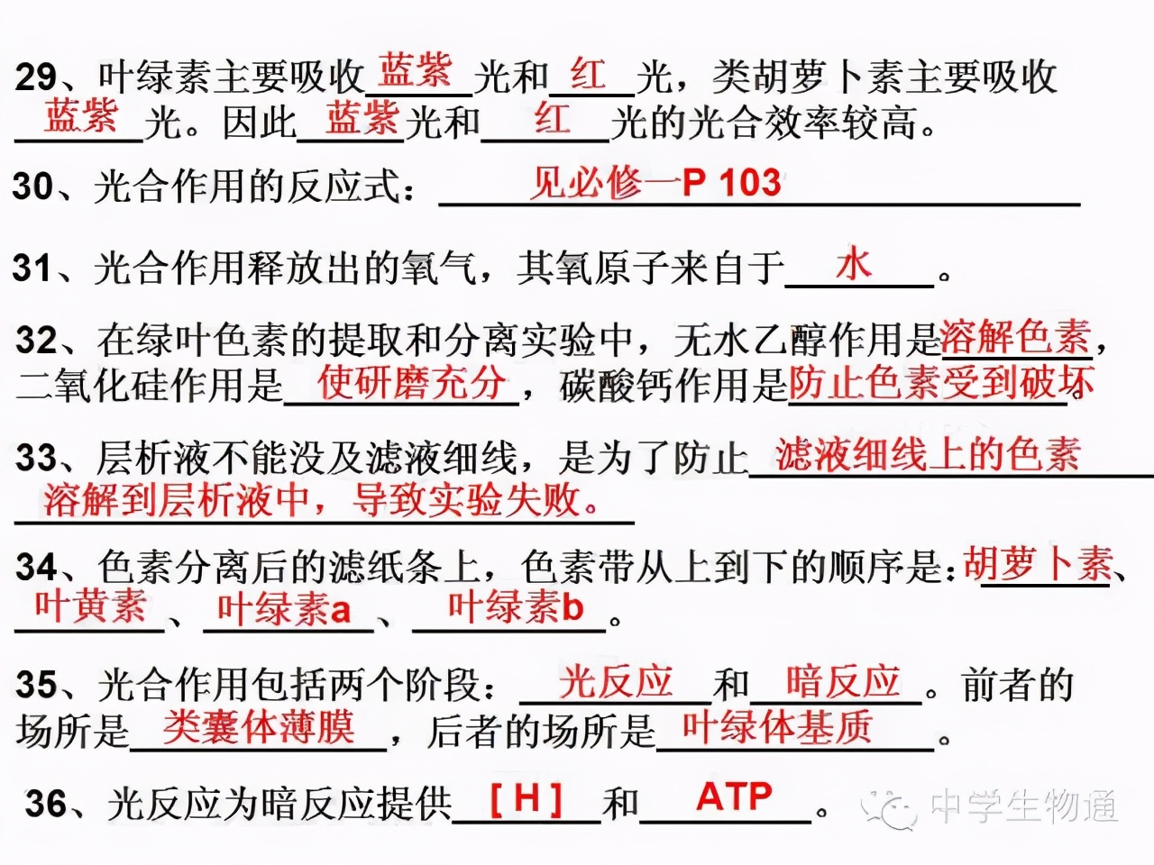 高中生物复习资料必修一,高中生物复习资料大全2019