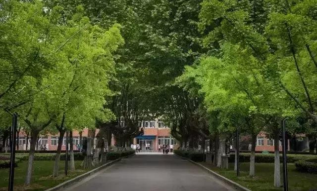 2019芜湖中学,芜湖中学排名榜2019