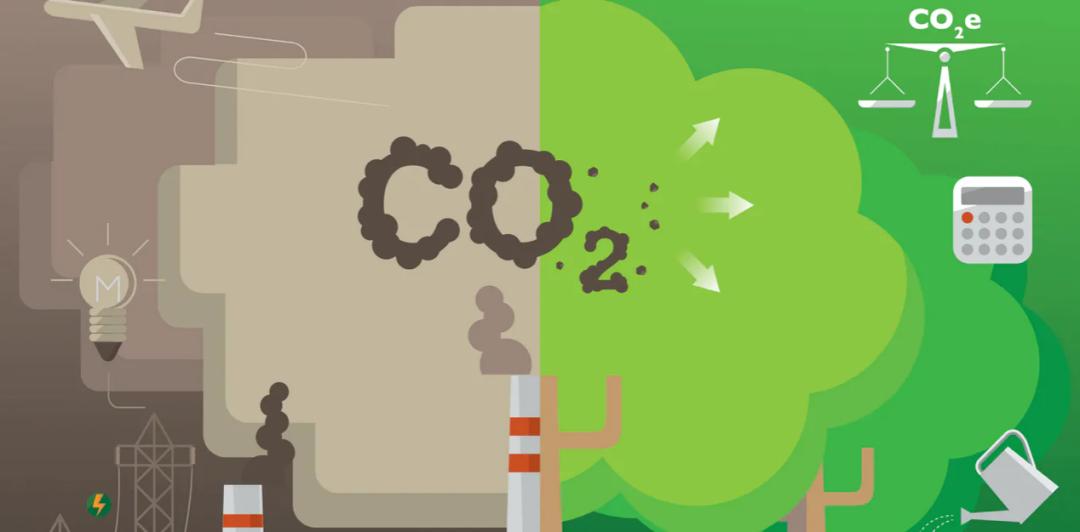 国内合成生物学“泰斗级”学者创办公司,天使轮获红杉种子领投