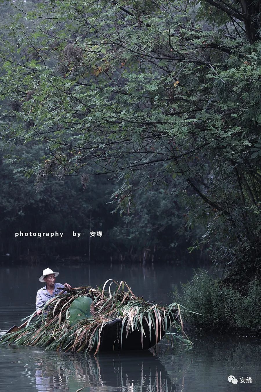 杭州西湖隐藏的豪华中式酒店,杭州水上主题酒店排名