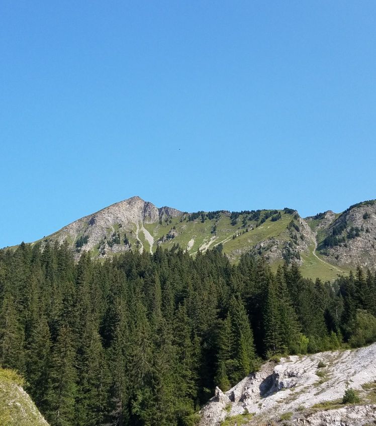 读王阳明心学对治疗抑郁症有用吗,抑郁症王阳明心学