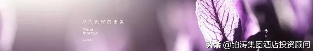 丽枫酒店加盟费用明细,丽枫酒店为什么会这么火