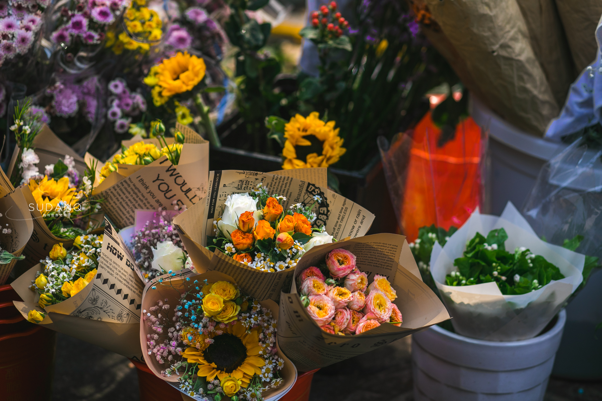 武汉铁机路花市,武汉解放公园花市