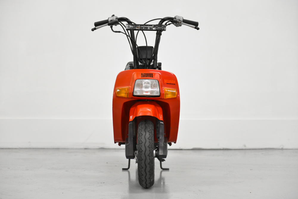 本田可爱mini熊,本田超梦mini多少钱