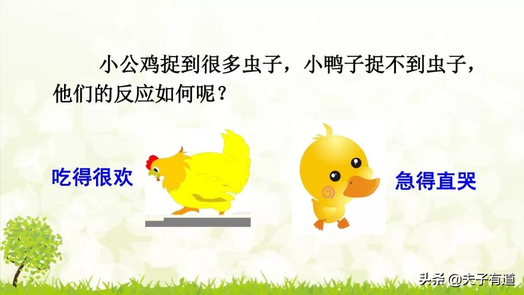 一年级下小公鸡和小鸭子看图写话,一年级下册小公鸡和小鸭子第五课