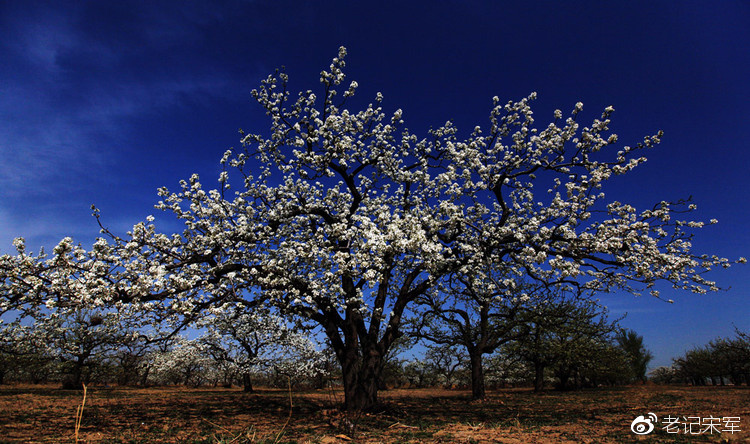 有一个遥远的地方完整版,有一种美叫青海