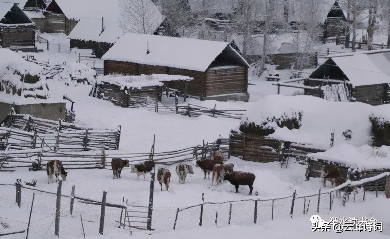 「牛坡山记忆」魂牵梦绕牛坡山