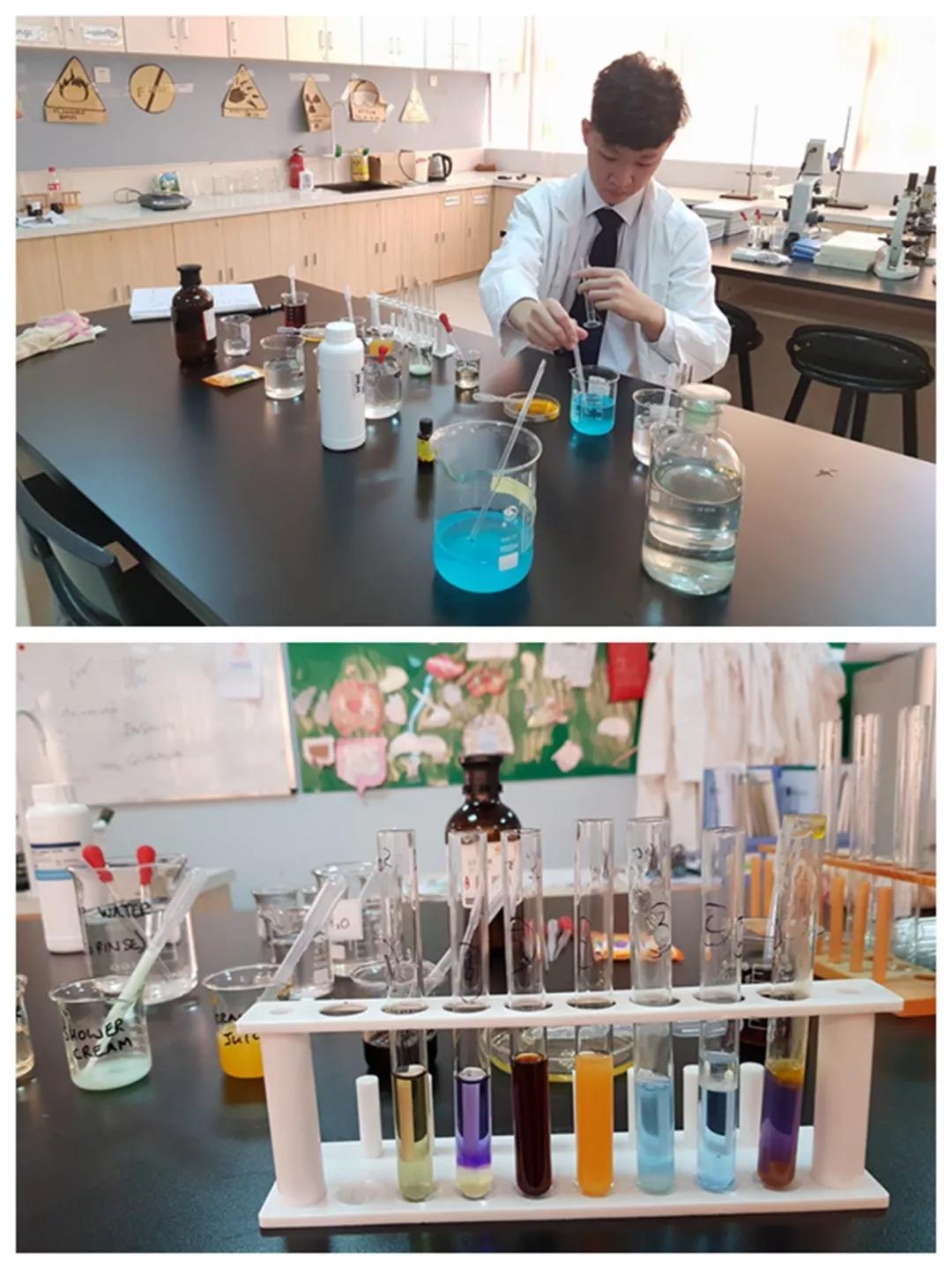 牛津国际公学成都分校多少钱一年,牛津国际公学招生简章