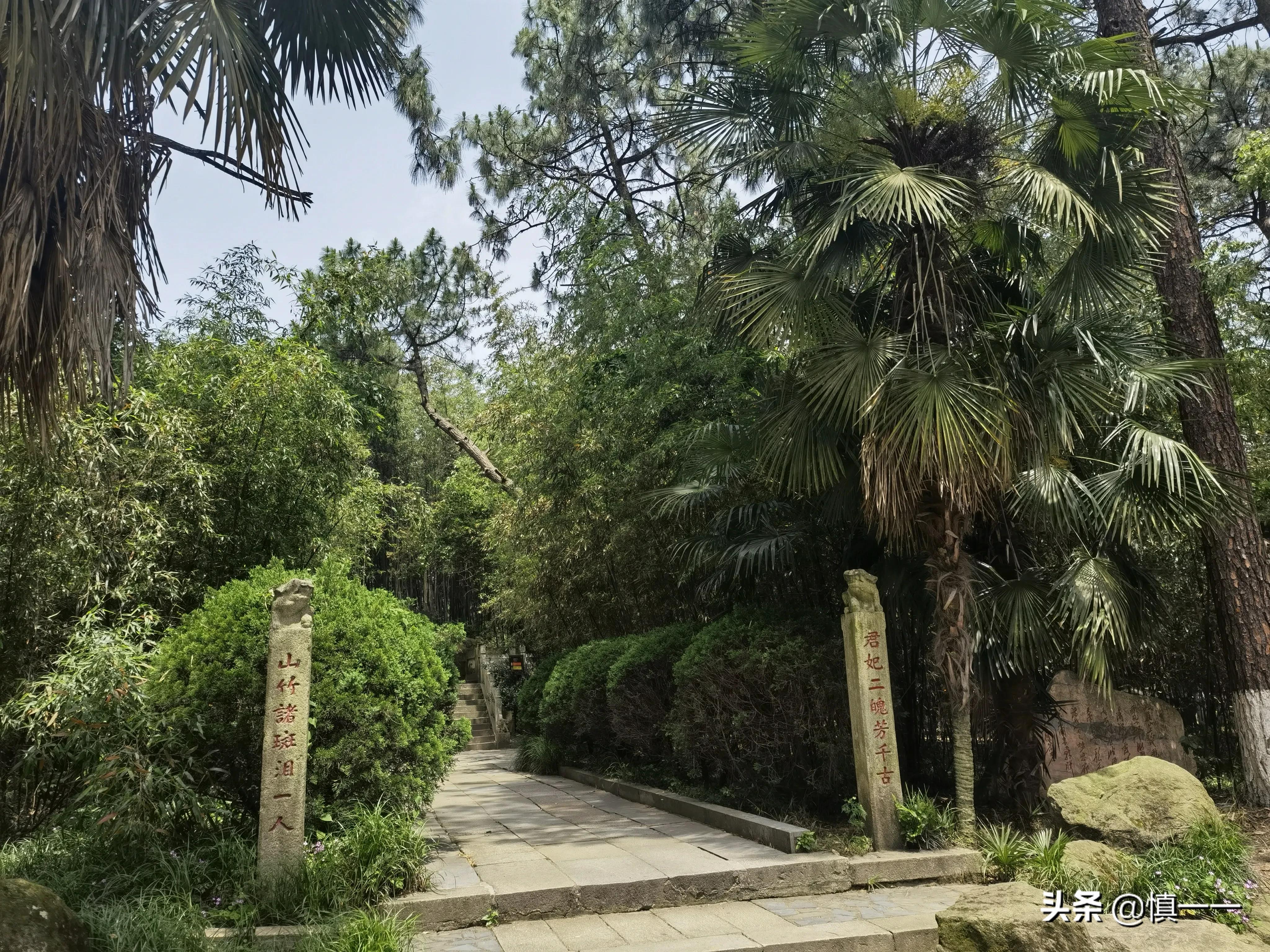 见到传说中的柳毅井传书亭，拜谒湘妃墓、亲眼目睹湘妃竹的真面目