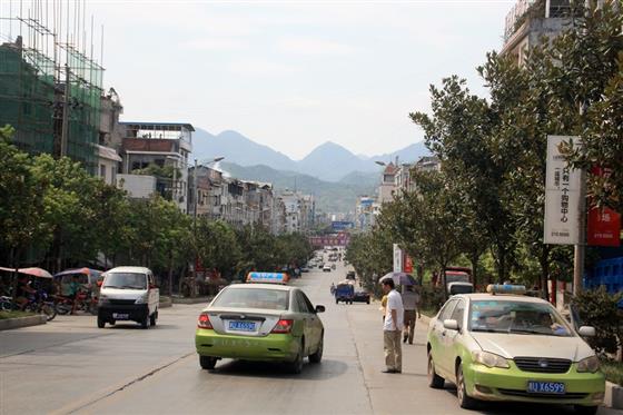 黄山的金凤凰,山沟里的金凤凰湖北