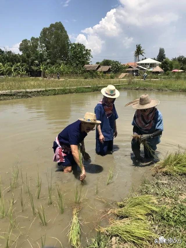 清迈攻略介绍,清迈攻略最全