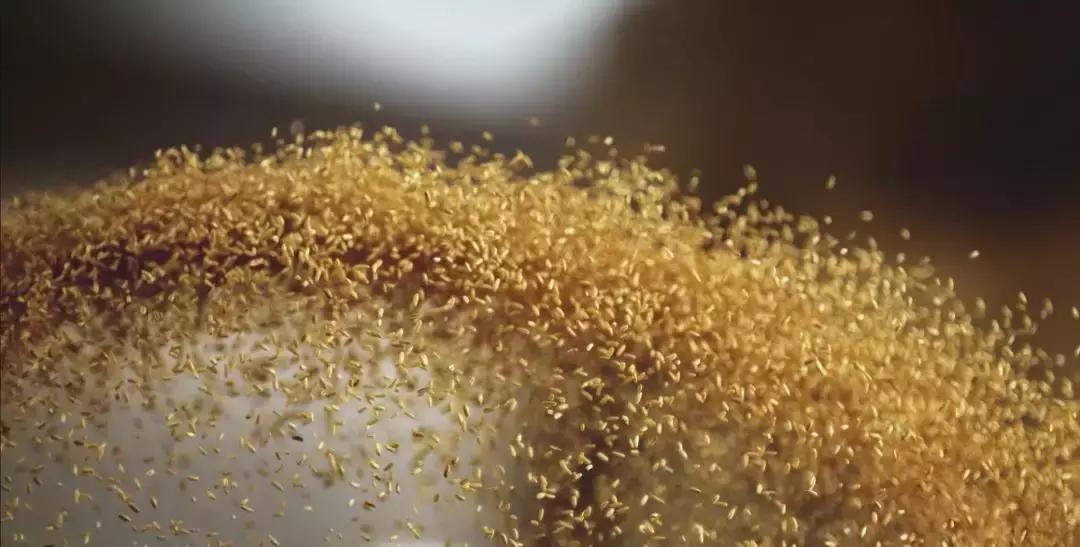 为什么洋河镇的酒很香,洋河酒到底有多厉害