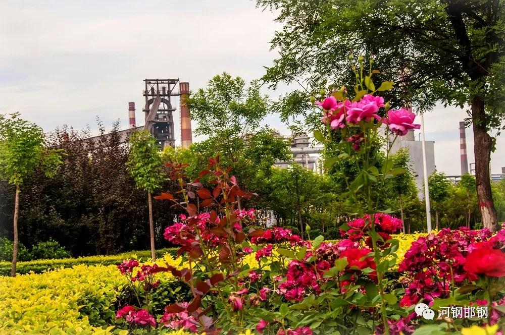 娌抽挗閭挗閾佽矾,娌抽挗閭挗楂樼倝