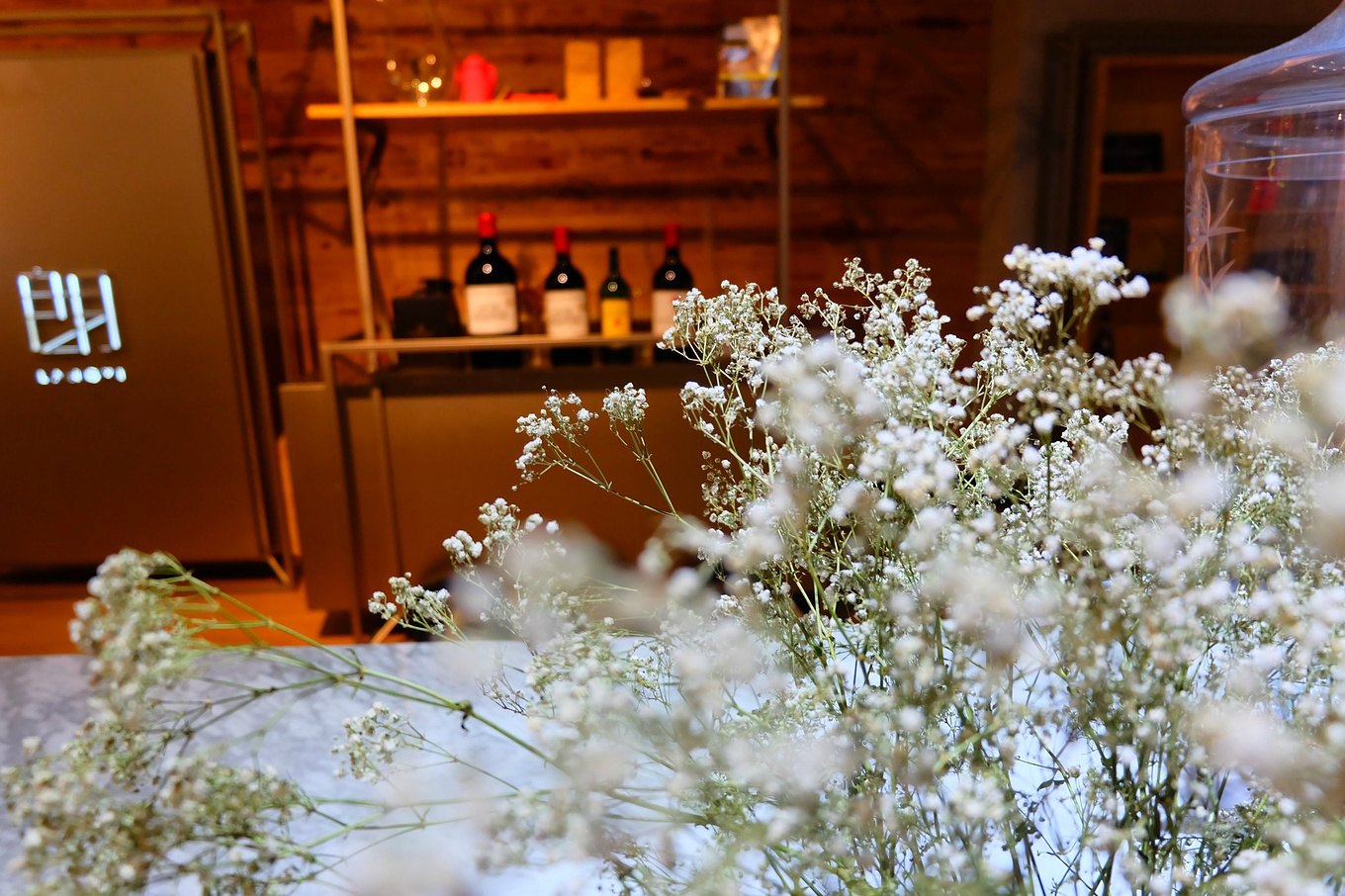 骆驼青岛,骆驼旅行在路上