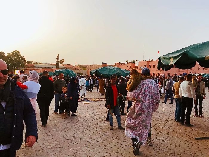 去摩洛哥自由行攻略,摩洛哥游玩自由行攻略