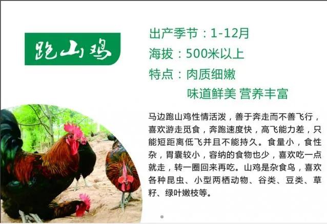 端午食博会暨特色农产品展13日开幕！绵乐眉成达资都来了