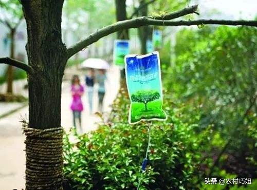 果树打针的危害,果树打针管和配件