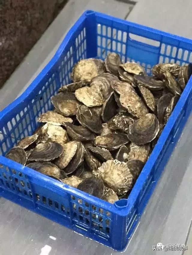 水煮贝壳类海鲜煮多久,海边海鲜用什么水煮好吃