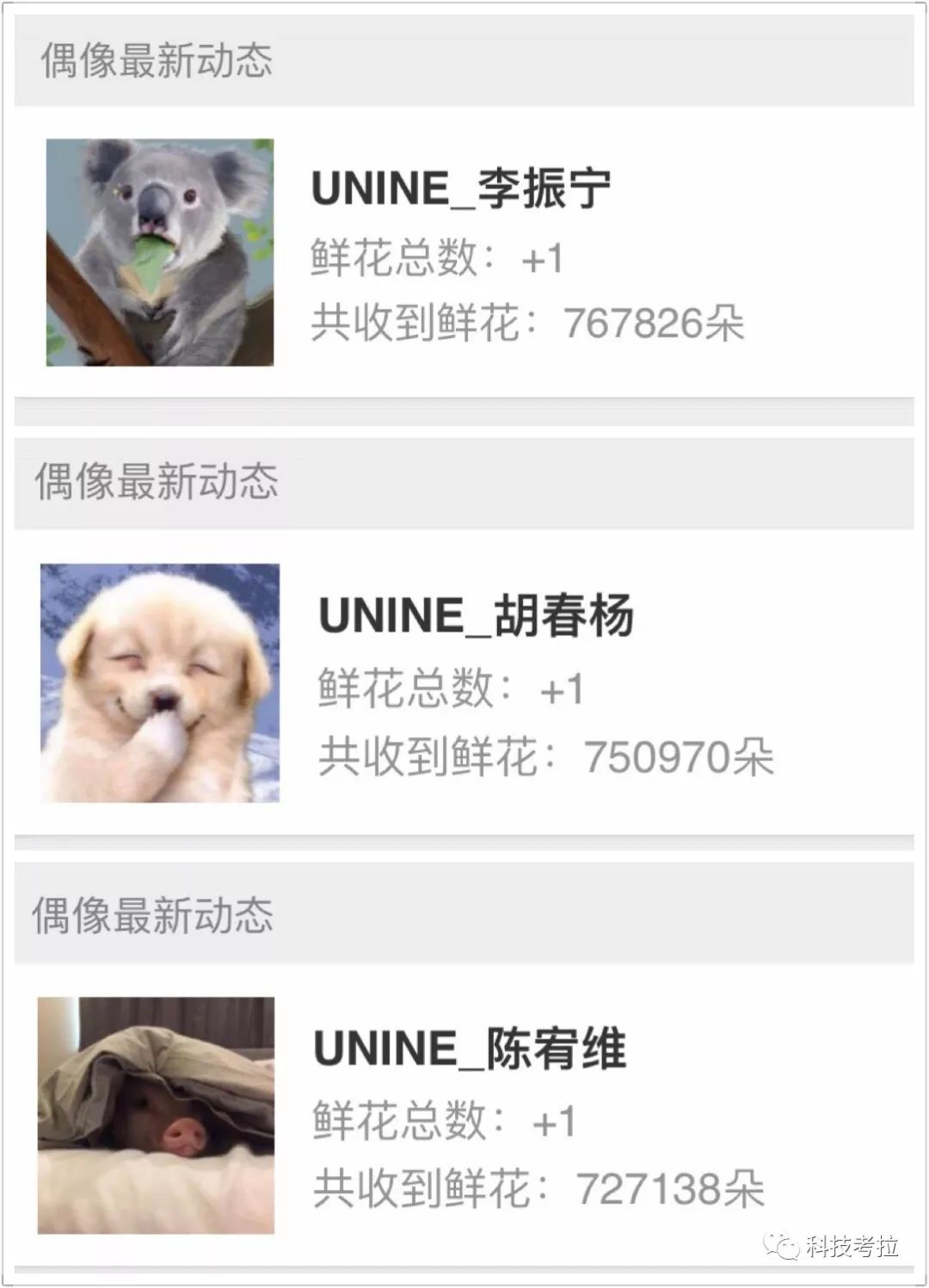 亿元榜单生意，10倍日活放大，饭圈女孩撑起微博半边天