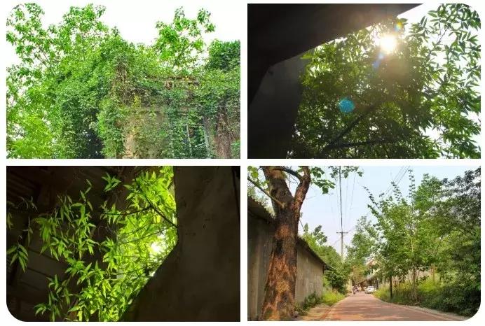 成都十大民国老建筑 (成都优秀历史建筑)