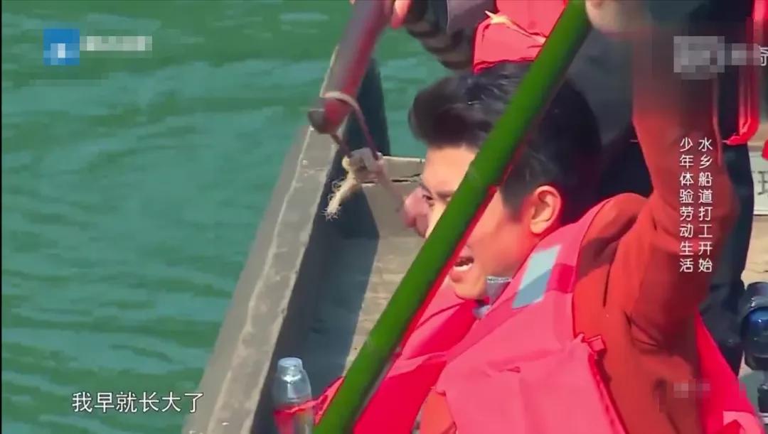 杨紫和张一山从小到大一个学校,刘星时期的张一山和杨紫多大