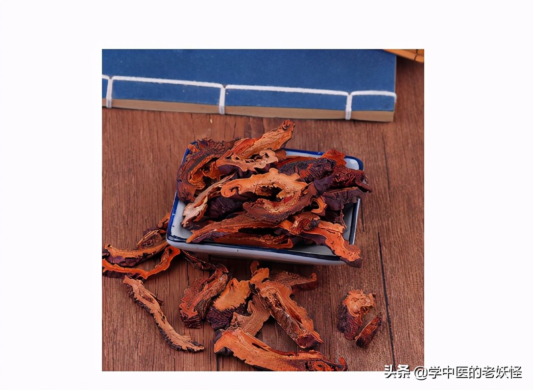 每日一药砂仁,每日一药木瓜