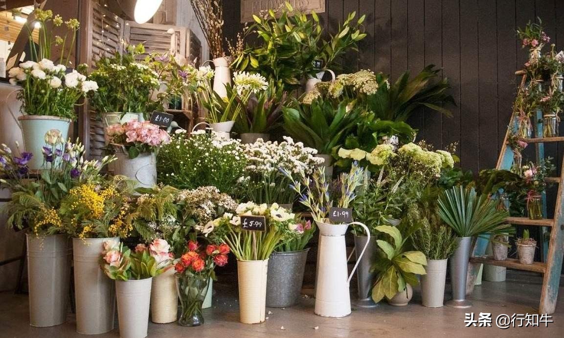 2020不好做的生意,2020年的生意怎么这么难做