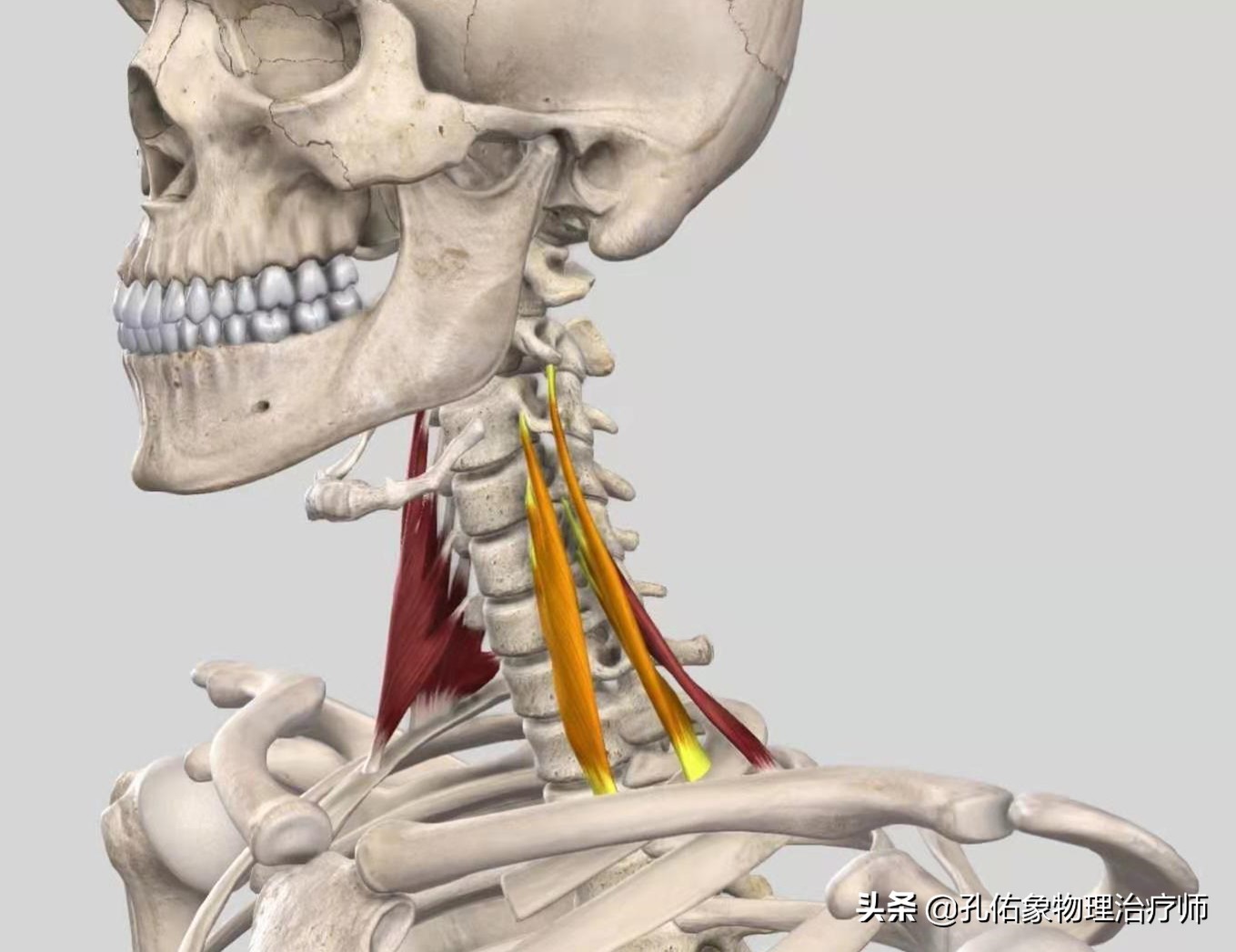 肩颈颈椎痛怎么缓解最快最有效,颈椎病最怕的5个症状