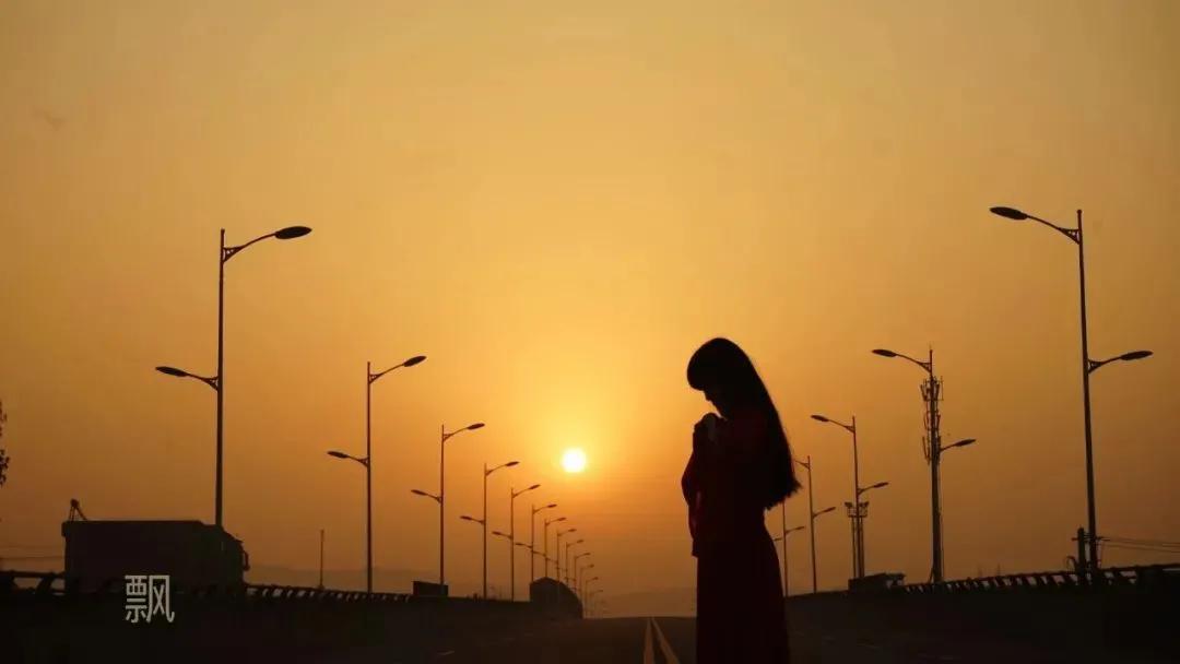 每周摄影作品全集,摄影作品展活动4k视频