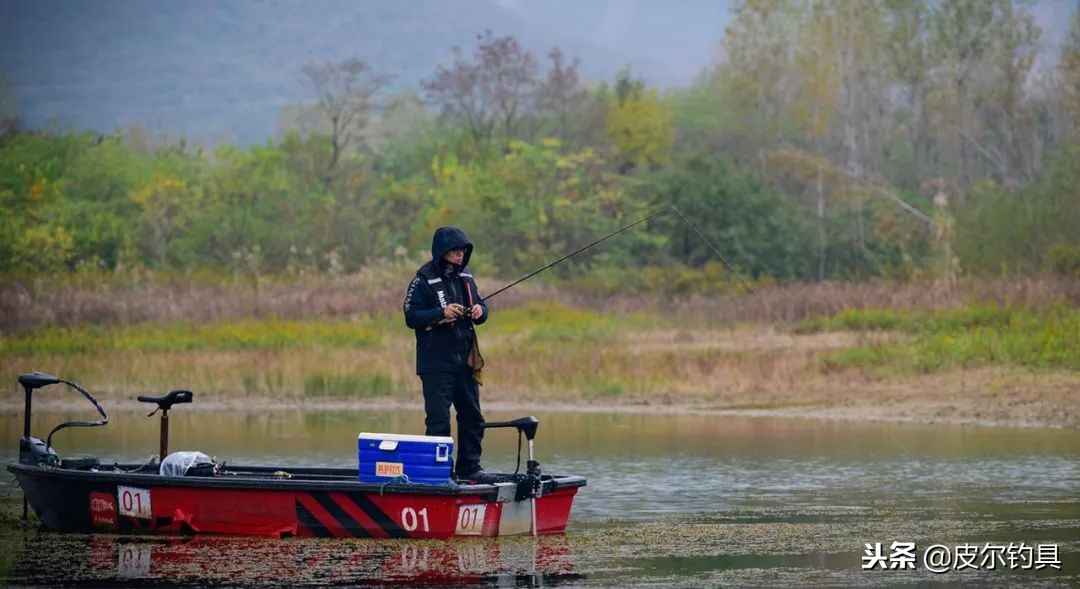 2018贝克力路亚大师赛,2021贝克力路亚大师赛直播