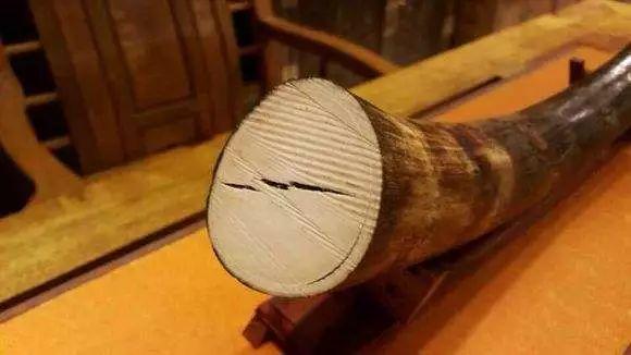 俄罗斯真的是战斗民族,俄罗斯人寻找猛犸象牙