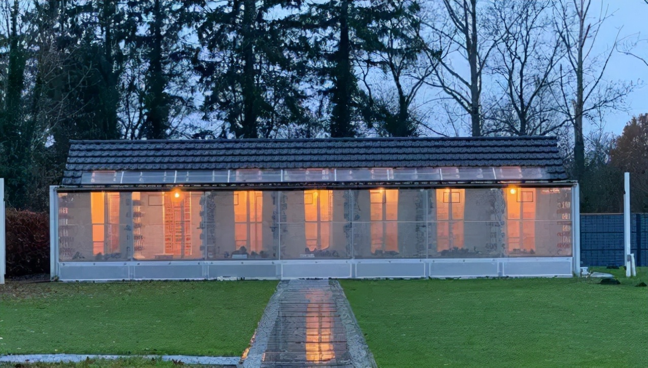 立志从买鸽王到飞鸽王开尔今年飞得怎么样？