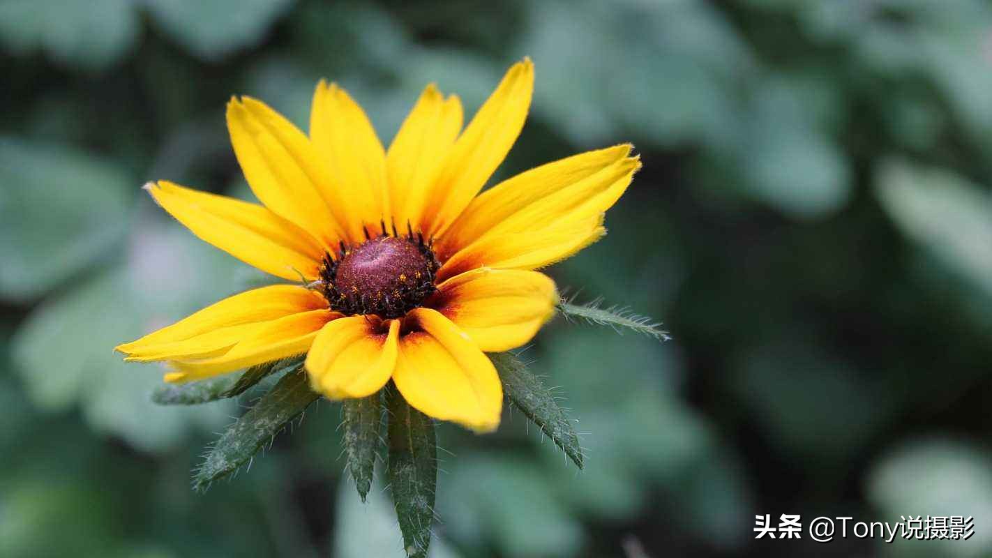 摄影后期景深教程,摄影后期如何制作景深照片