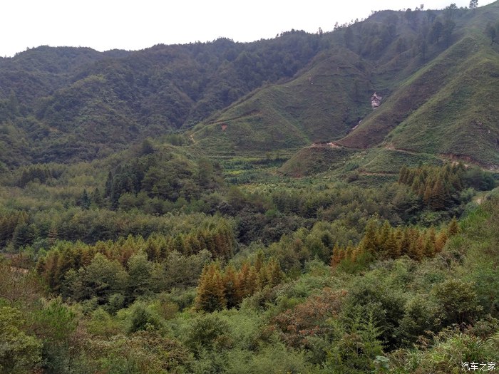 黄山区岭上旅游景点,黄山区苏雪林故居景点