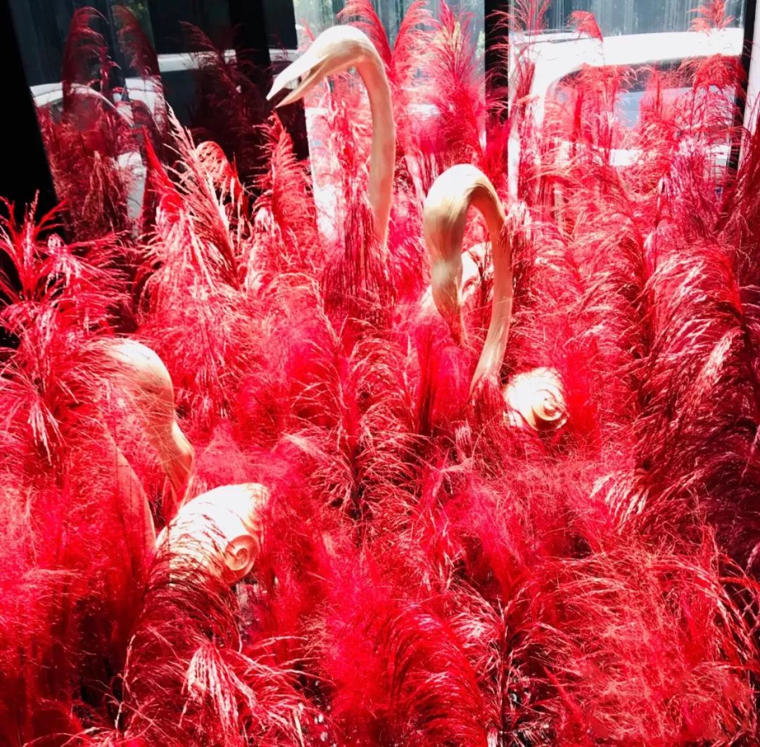 上海最贵火锅有哪几家,上海好吃火锅店排名第一