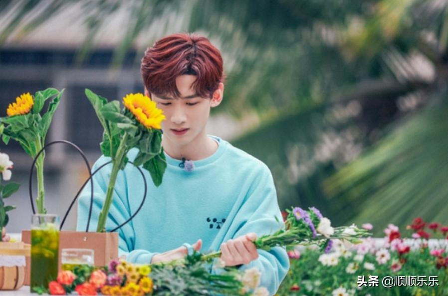 杨倩回应白敬亭,杨倩对白敬亭的评价