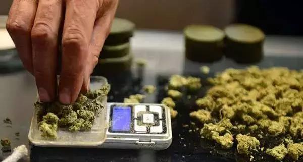 种“草”吗?做“实验”吗?坐牢的那种……