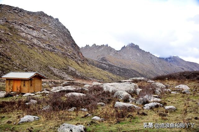 年保玉则现在开放了吗,年保玉则为啥被封