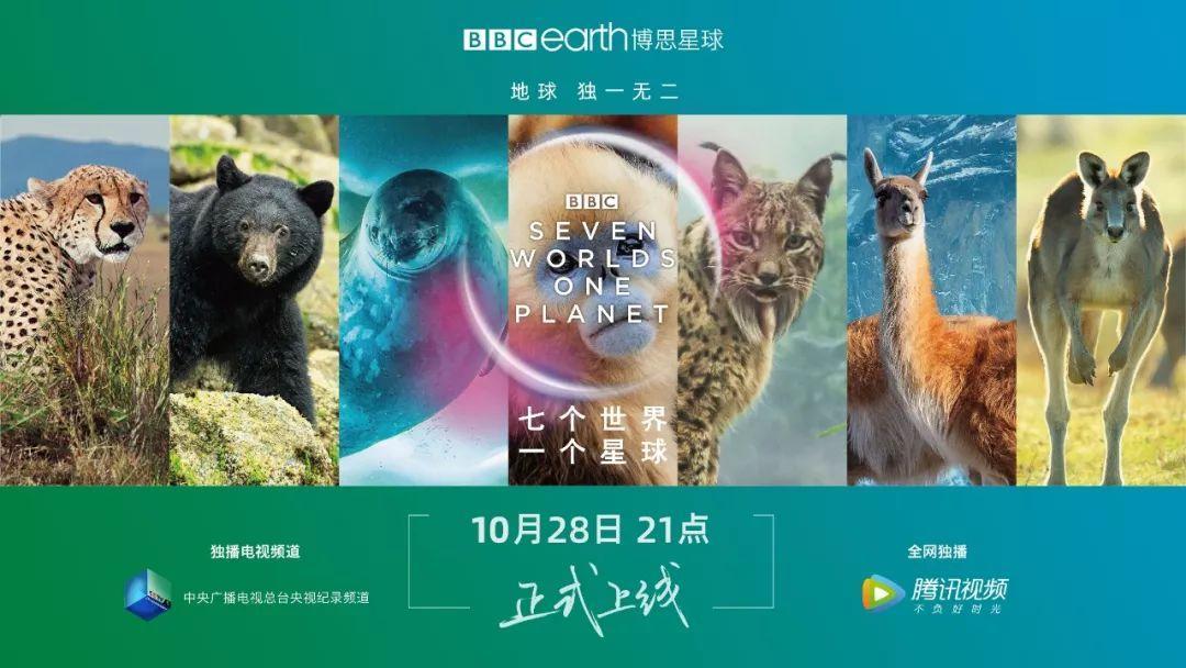 炸裂9.9，BBC再出神片，美得让人脸红