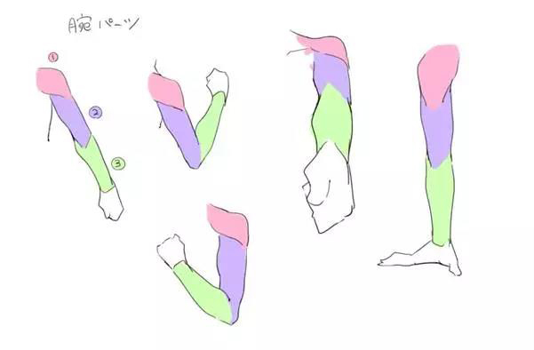 手臂怎么画简单又可爱,怎么画漫画人物手臂教程