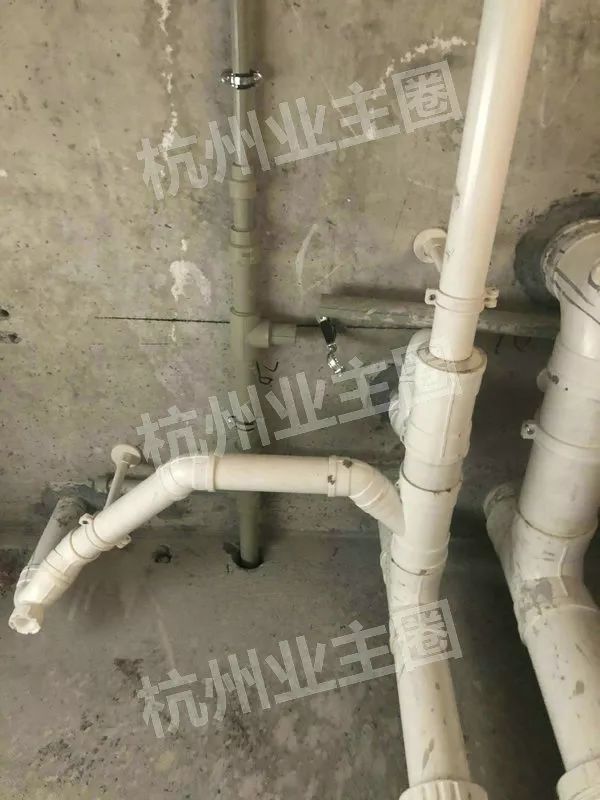 绿都什么意思,绿都包括哪些绿