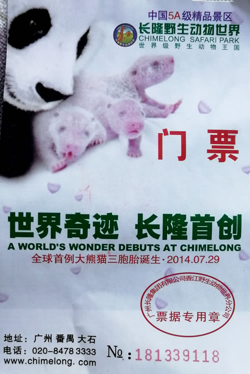 广州一日游长隆野生动物园日记,广州长隆野生动物世界参观指南